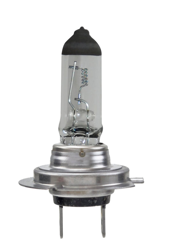 BULB 24V 70W PX26D T4.625 - HELLA