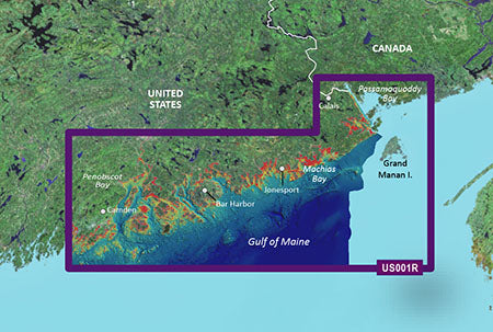 Garmin Vus001r G3 Vision North Maine - Garmin