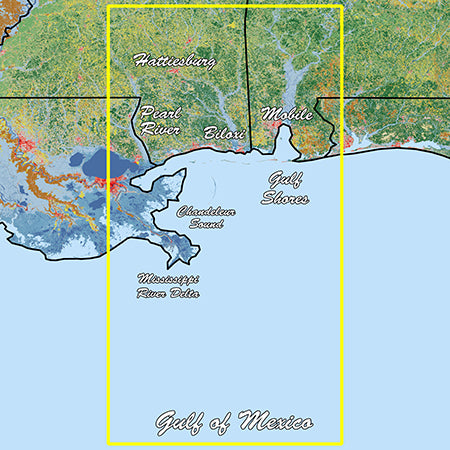 Garmin Mississippi Sound Standard Mapping Professional - Garmin