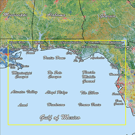 Garmin Gulf Coast Standard Mapping Professional - Garmin