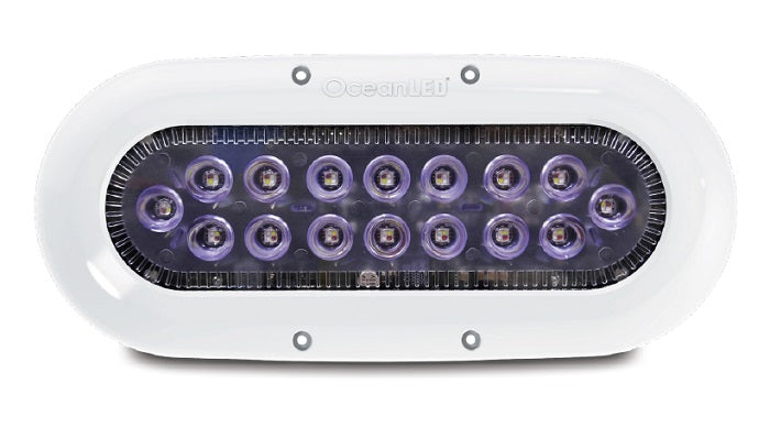 Oceanled X16 X-series Ultra White Led - Sea Supply Hub